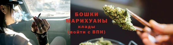PSILOCYBIN Армянск